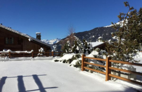 Отель Verbier Medran apartment, Вербье